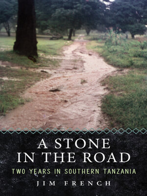 cover image of A Stone in the Road